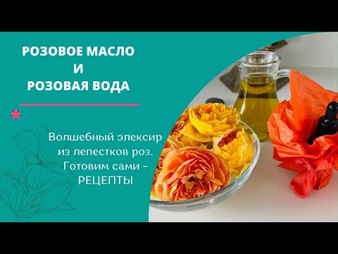 Видео: МАСЛО ВЕЧНОЙ МОЛОДОСТИ - РОЗОВОЕ МАСЛО И РОЗОВАЯ ВОДА - ДОМАШНИЙ РЕЦЕПТ