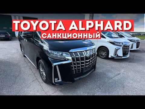 Видео: САНКЦИОННЫЕ АВТО  Alphard  из Японии  под заказ в Москве 