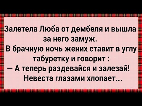Видео: Как Люба от Дембеля Залетела! Сборник Свежих Анекдотов! Юмор!