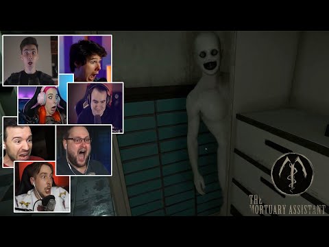 Видео: Реакция Летсплейщиков на Выглядывающего Монстра в The Mortuary Assistant