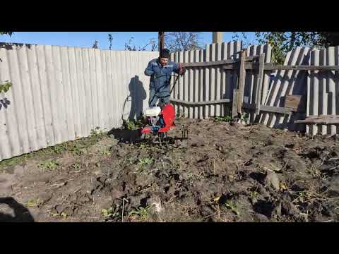 Видео: Работа мотоблока Ока с фрезами Целина