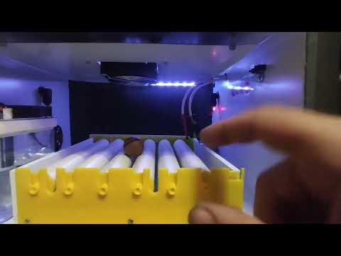 Видео: Инкубатор-брудер для яиц попугаев и других экзотических птиц