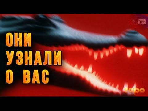 Видео: ‼️💯ОНИ УЗНАЛИ КТО ВЫ⚡️❤️ 🔥