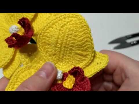 Видео: Орхидея крючком. Часть 7.