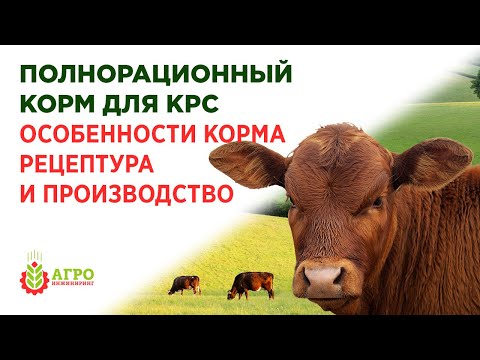 Видео: Корма для КРС. Особенность кормов и производство на примере готовой рецептуры.