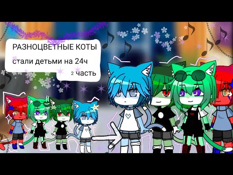 Видео: Разноцветные коты стали детьми на 24 часа,2 часть