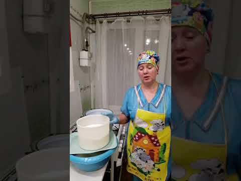 Видео: СЫР СУЛУГУНИ. Видео рецепт. Сыр в домашних условиях.