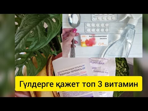 Видео: ГҮЛДЕРГЕ ҚАЖЕТ ТОП 3 ТАБИҒИ ВИТАМИН