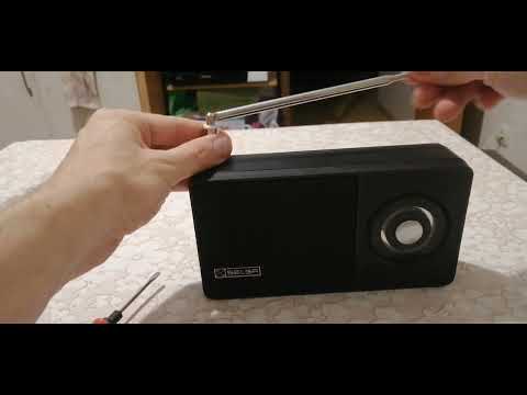 Видео: 11 августа 2025 г.
