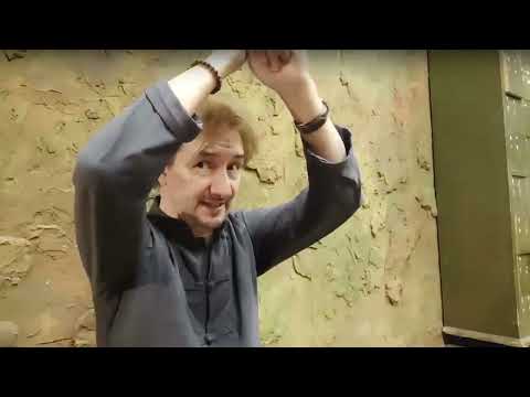 Видео: Фа-цзинь - Беседы о Тайцзицюань - Виктор Шигорин - 18.04.25