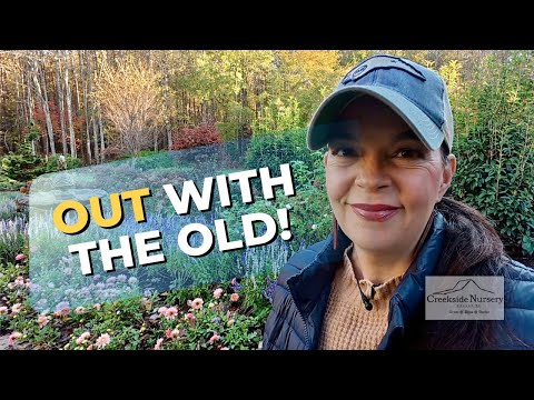 Видео: Когда одна роза увядает… Мы сажаем другую 🌹 День обновления сада