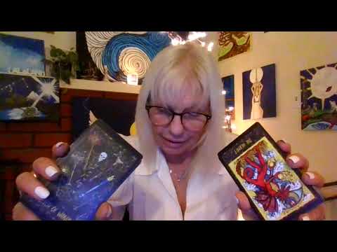 Видео: Рыбы боролись за справедливость и развеяли ложь, которую они о вас распространяли!