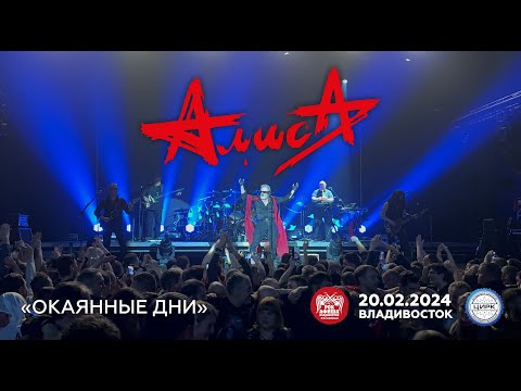 Видео: Алиса - Окаянные дни (Live • Владивосток • 20.02.2024)