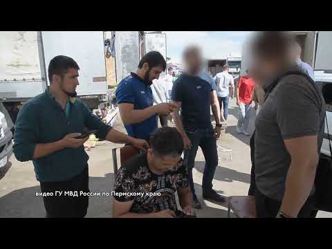 Видео: Рейд Заостровка