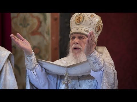 Видео: Тезоименитство архим. Лаврентия (Постникова)