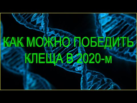 Видео: Моя комплексная методика борьбы с клещом Варроа Деструктор