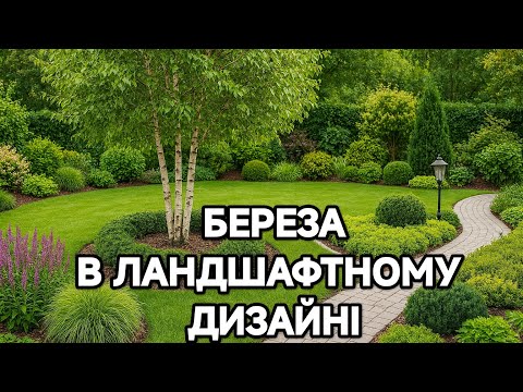 Видео: Береза в ландшафтному дизайні: елегантність природи у вашому саду