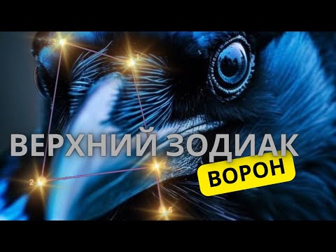 Видео: 16 октября 2023 г.