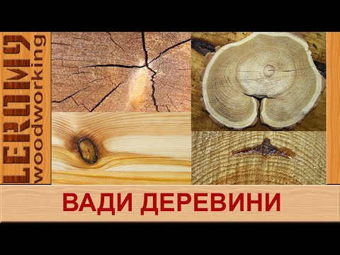 Видео: Вади деревини