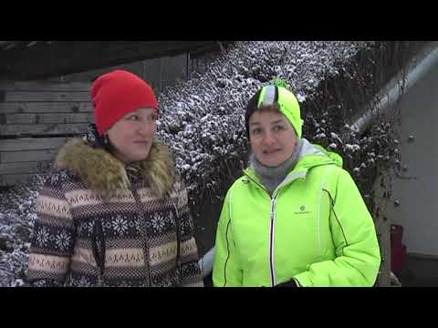 Видео: Как зимуют растения у нас на плантации Часть 1