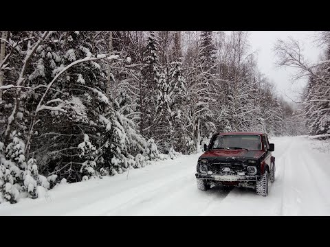 Видео: На Рыбалку НА НИВЕ 4х4/ Клёв Зачётный/ РЫБА вешается сама на КРЮЧОК!!!