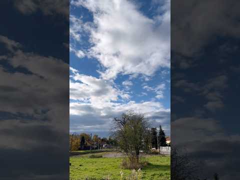 Видео: #погода #польша #nature #влог #garden