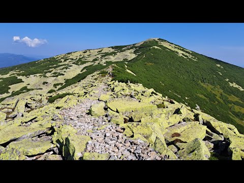 Видео: Горгани. Стара Гута, Полонина Рущина, урочище Пекло, витоки Бистриці, Сивуля, Ігровець, Висока