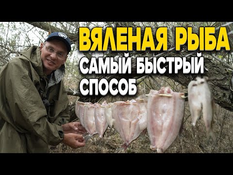 Видео: Как быстро завялить рыбу даже в летнюю жару, чтобы она не испортилась? Дядя Фёдор теперь знает!!!