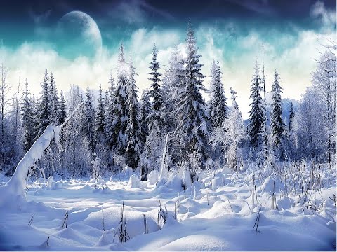 Видео: Промысел куницы в тайге с промысловиком.