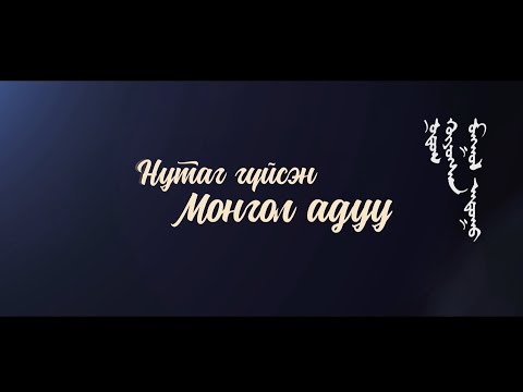 Видео: Нутаг гүйсэн Монгол адуу