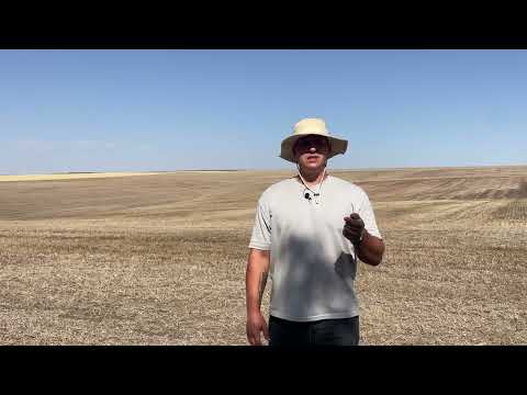 Видео: Трошки про протруювання озимих зернових в 2025р!