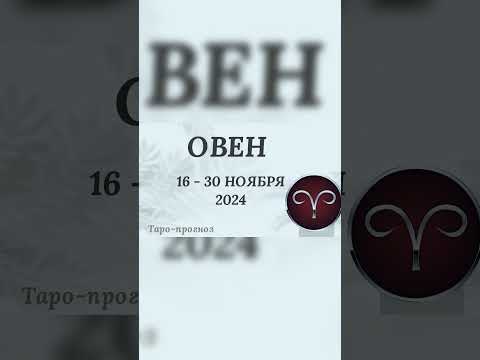 Видео: #ноябрь2024 #таропрогноз