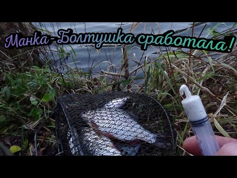 Видео: Рыбалка у дома на поплавок в октябре!Первый раз ловлю на такую наживку!