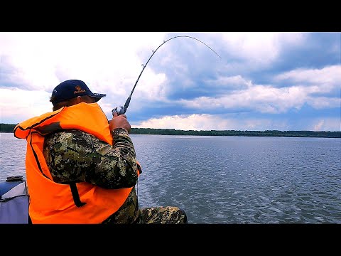 Видео: ДАВНО ТАК НЕ ЛОВИЛ за ОГОРОДАМИ!!! ЭТИ ПРИМАНКИ СДЕЛАЛИ РЫБАЛКУ...