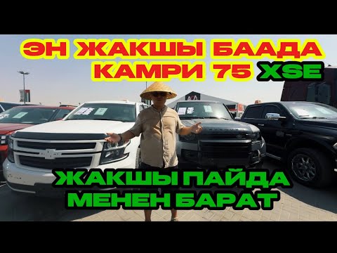 Видео: Унаалар жакшы пайда менен барат , шашылыныз