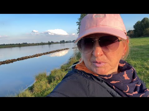 Видео: Меланхолия осенняя прощальные крики