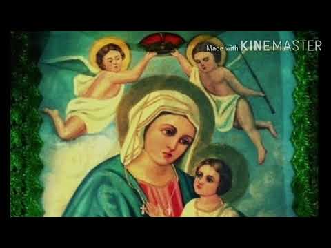 Видео: Акафист Пресвятой Богородице перед иконой "Браиловская" 14.10