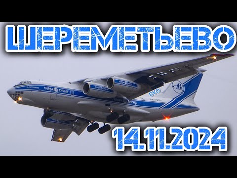 Видео: Споттинг в Шереметьево 14.11.2024