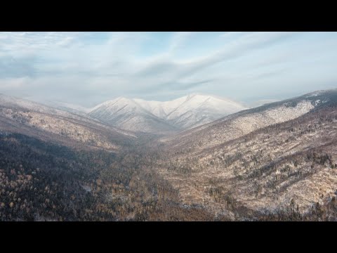 Видео: Зимний поход. Гора Студенческая