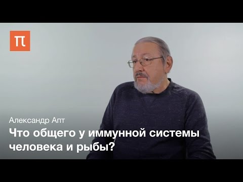 Видео: Иммунная система - Александр Апт