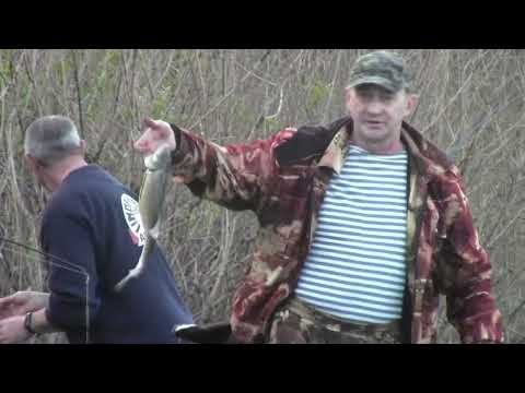 Видео: ВОБЛА 2024 с 21 по 28 АПРЕЛЯ