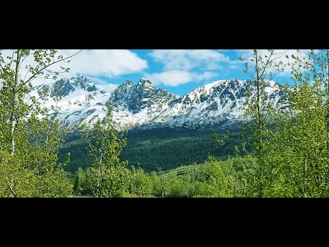 Видео: Путешествие на Аляску. Фильм 3 из 5. На Аляске. Пальмер