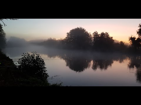 Видео: Рыбалка во Франции!!! Осенний карпик ! Хороший клев голавля