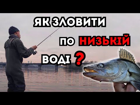 Видео: Ось що ПОТРІБНО ЗНАТИ щоб ЗЛОВИТИ СУДАКА по Низькій Воді!