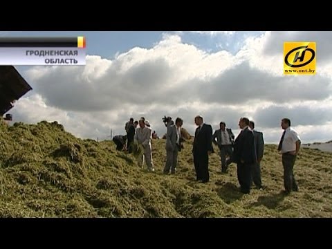 Видео: Госконтроль жёстко раскритиковал руководителей гродненских сельхозпредприятий