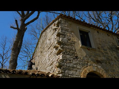 Видео: Восстановление фермерского дома прабабушки и дедушки в Италии: сложная задача по удалению деревье...