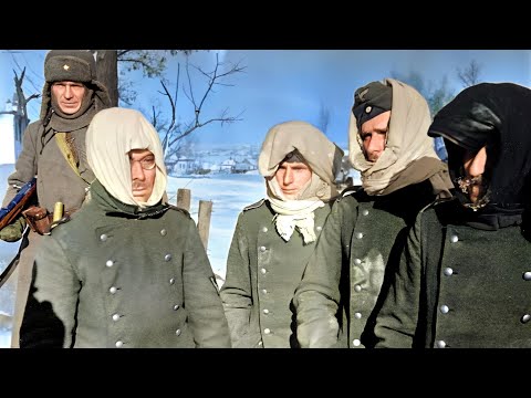 Видео: Фронтовые съемки разгрома немецких войск в районе Сталинграда (1943)