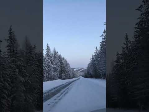 Видео: 1099,🎼 «На севере» -Анатолий Полотно