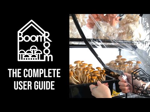 Видео: Полное прохождение BoomRoom II | Функции, руководства и многое другое | Грибная палатка Martha