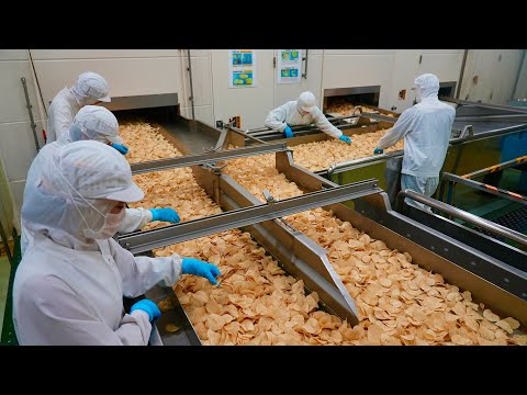Видео: Процесс производства картофельных чипсов, соленых из морских водорослей, на японской фабрике.